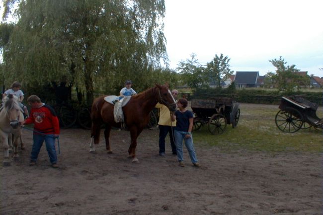 Hier knnen Kinder auf Pferde reiten