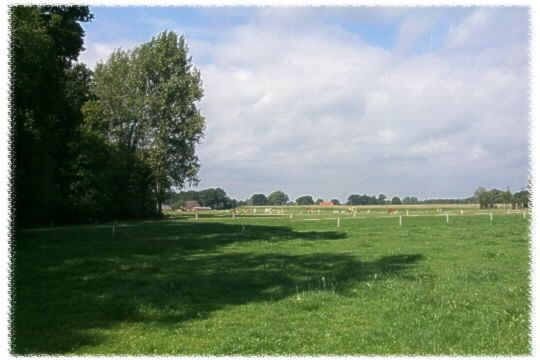 Ein Blick ber groe Felder