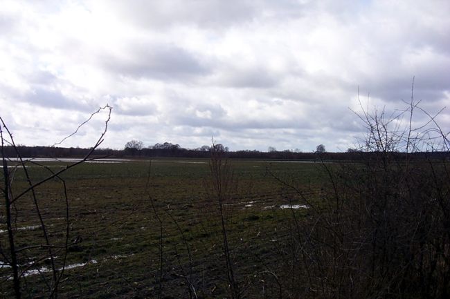 Blick ber ein groes Feld