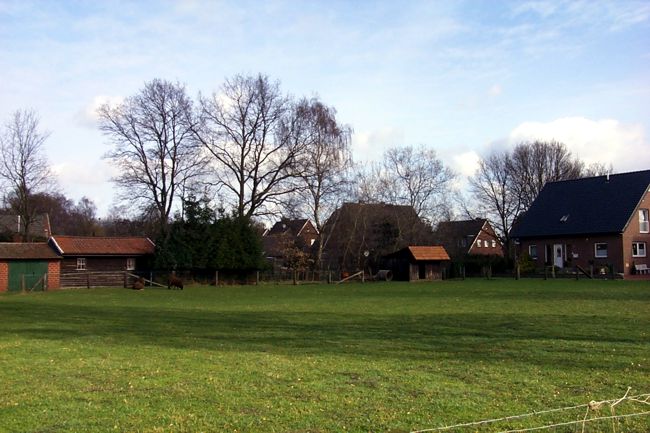 Khe grasen auf der Weide