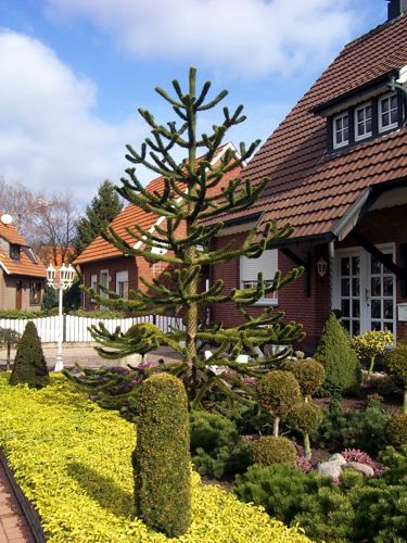 Ein Haus mit einem sehr schn gestalteten Beet