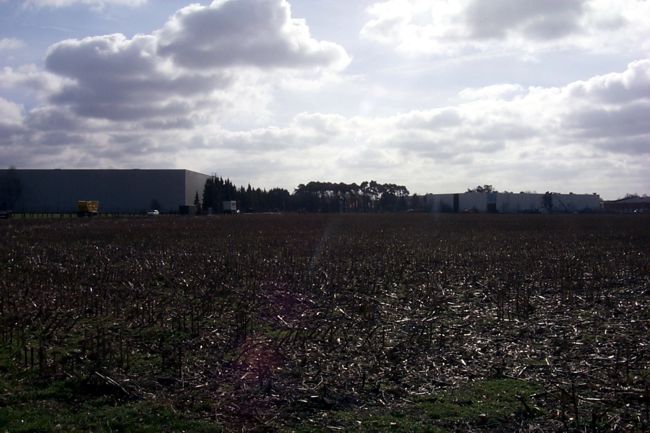 Hinter dem Feld erkennt man die Hlsta Werke