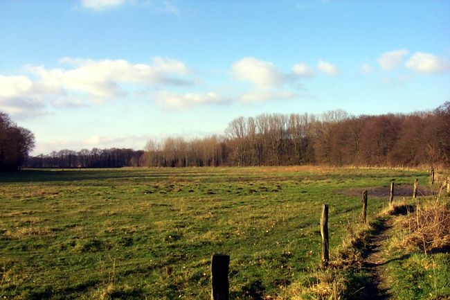 Blick ber eine groe Weide