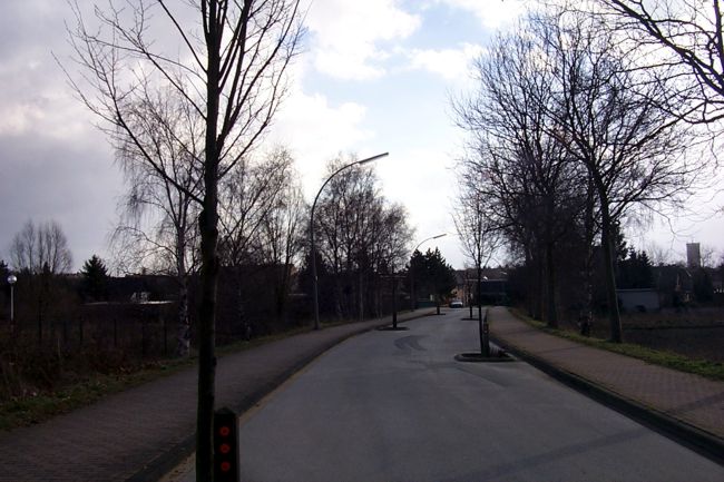Blick entlang dem Beethovenring