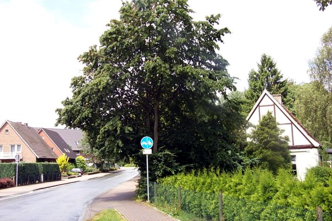 Blick in die Burgstrae