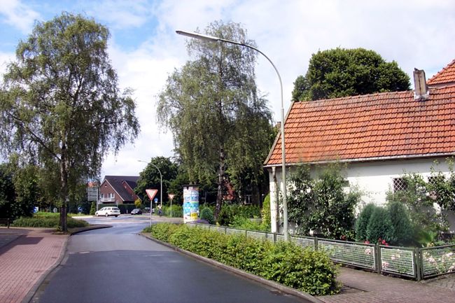 Zwei schne, beeindruckende Birken am Ende der Kapellenstrae