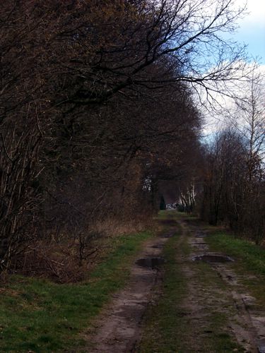 Blick entlang dem Prozessweg