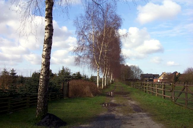 Blick entlang dem Prozessweg