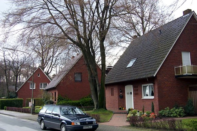 Hier steht ein beeindruckender Baum im Vorgarten