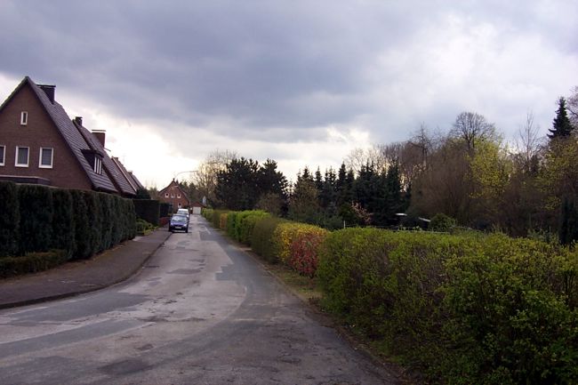 Blick entlang der Wibbelstrae