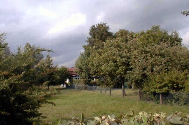 In diesem Garten stehen schne Obstbume