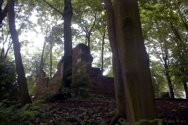 Die Burgruine von Stadtlohn