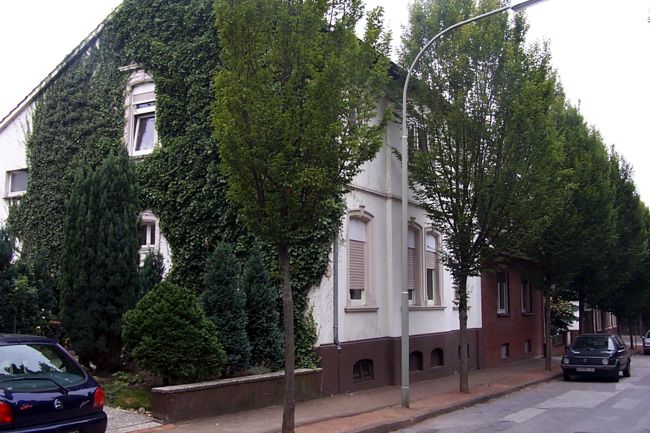 Die Giebelwand dieses Hauses ist grten teils mit Efeu zugewachsen