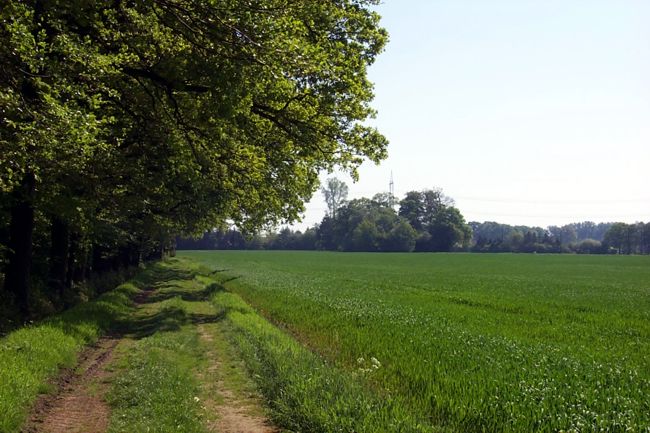 Blick ber ein groes Feld