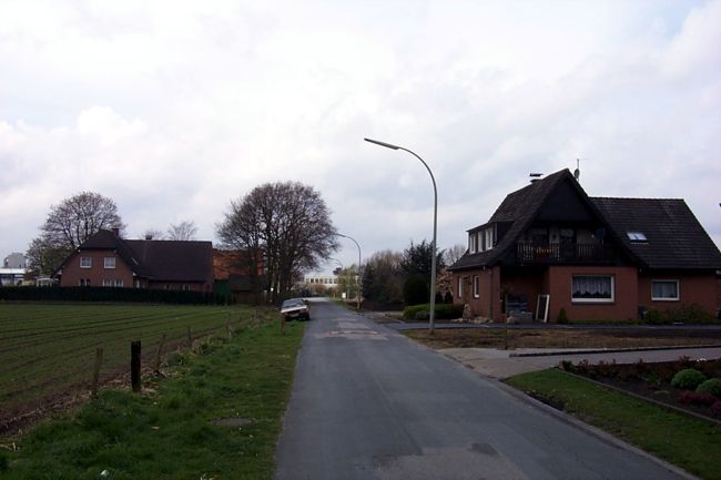 Blick entlang der Gerhart Hauptmann Strae