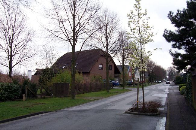 Blick entlang der Wessendorfer Strae