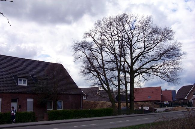 An stelle dieser Baustelle stehen mittlerweile hbsche Huser