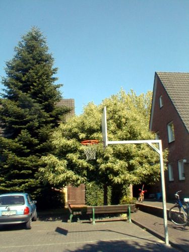 Hier steht ein Basketball - Korb fr die Kinder der Nachbarschaft