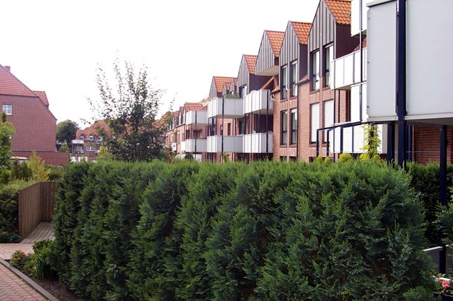 Auf der Rckseite besitzen die Wohnungen der Reihenhuser Balkone