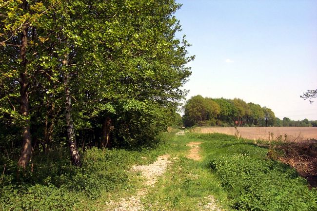 Blick entlang der alten Bahnlinie