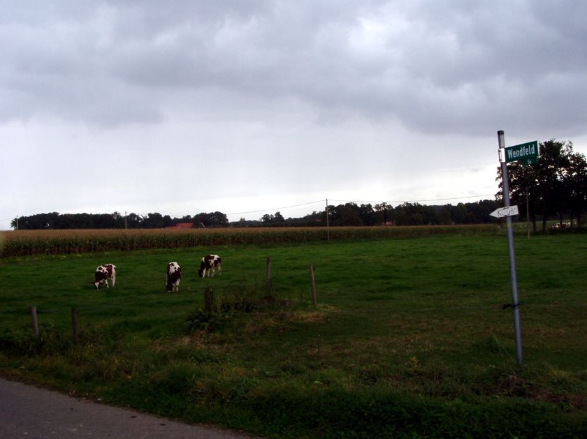 Kuhweide