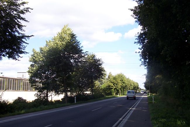 Hinter den Bumen erkennt man eine Werkshalle von Landmaschinenbau Kemper