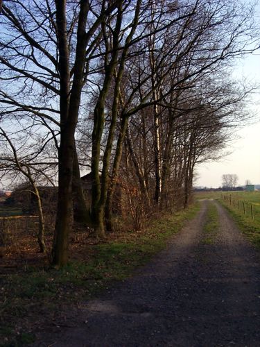 Blick entlang eines Feldweges