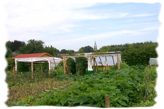 Ein kleiner Schrebergarten