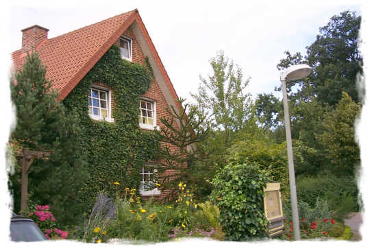 Bei diesem hbschen Haus ist die Giebelwand beinahe komplett mit Efeu zugewachsen