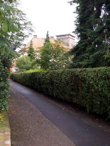 Ein kleiner Fu und Radweg der zur Eschstrae fhrt