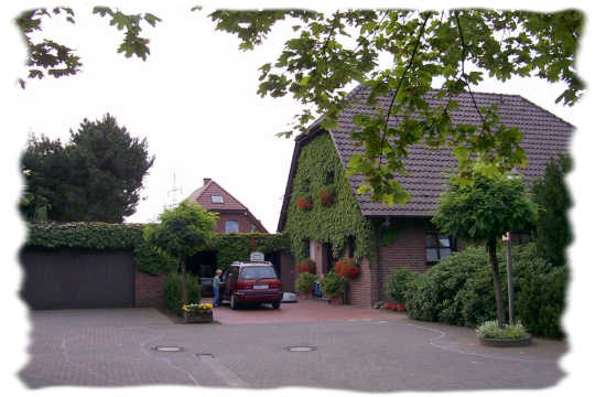 An diesem Haus ist die Giebelwand fast komplett mit Efeu zugewachsen