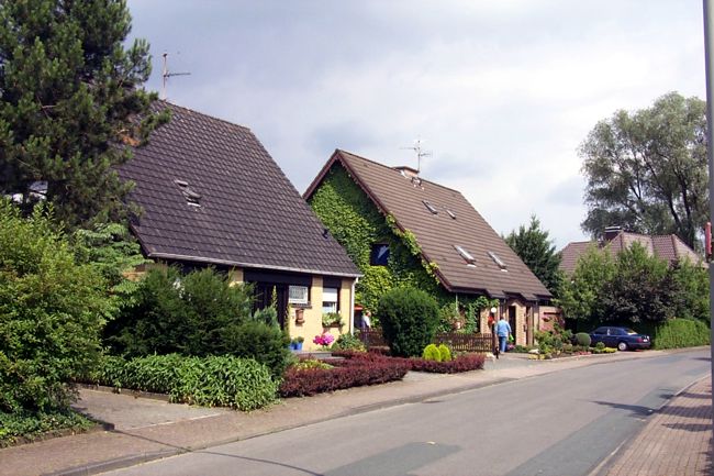 Hier ist eine Giebelwand mit Efeu komplett zugewachsen