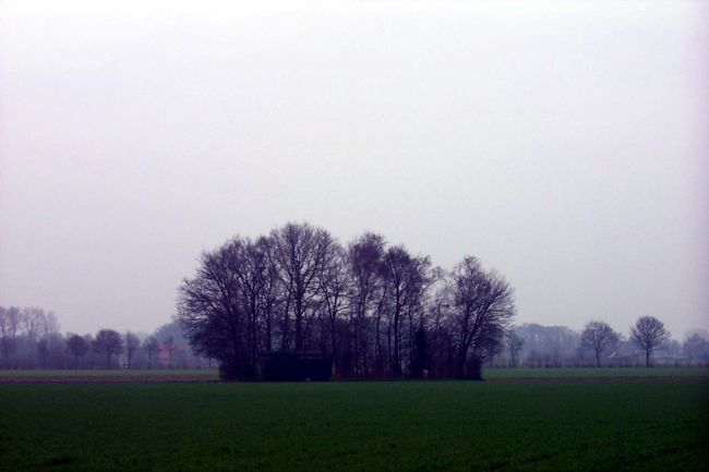 Eine kleine Htte in einem winzigen Waldstck