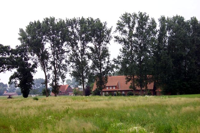 Blick auf einen Bauernhof