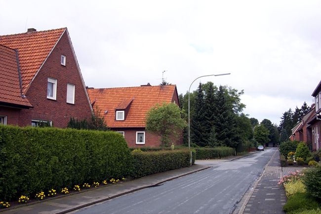 Akkurat geschnittene Hecken in der Kettelerstrae