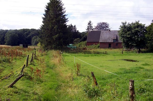 Ein ziemlich zugewachsener Wassergraben