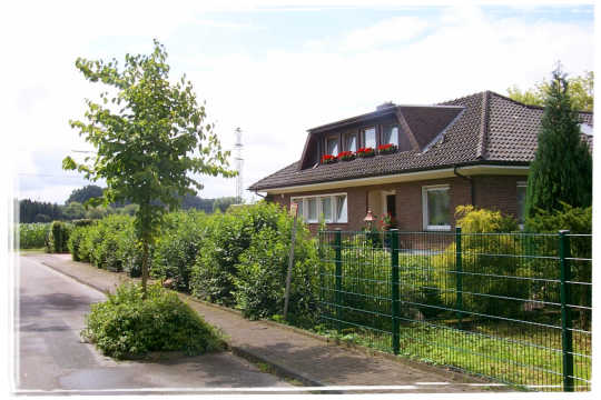 Eine leuchtend, grne Hecke in einem Vorgarten