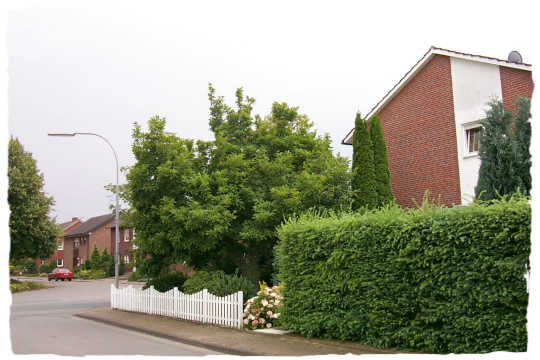 Hier umrandet ein hbscher, weier Zaun den Garten