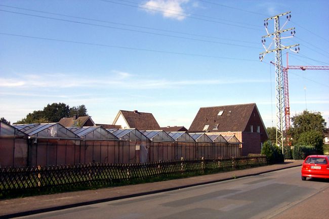 Ein ziemlich groes Gewchshaus