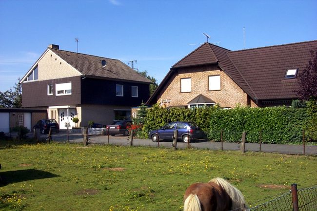 Eine kleine Pferdewiese in der Wohnsiedlung