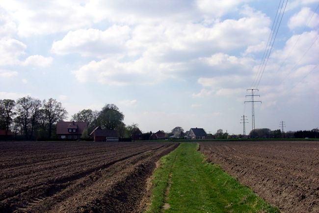 Ein Feldweg zwischen den frisch geflgten Feldern