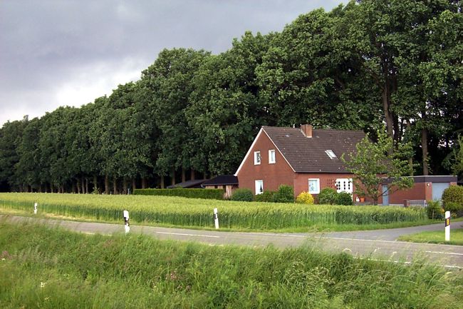Ein hbsches Haus am Waldrand