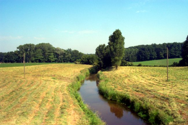 Die Berkel