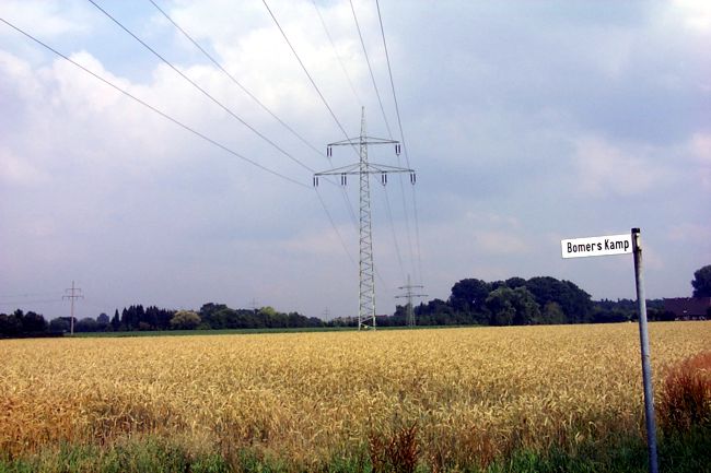 Ein Getreidefeld