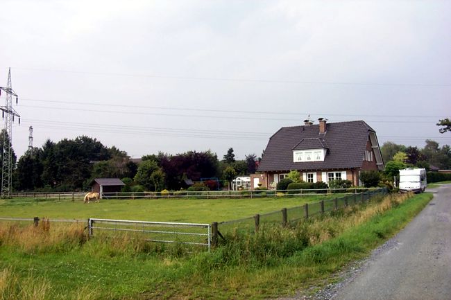Eine kleine Pferdewiese