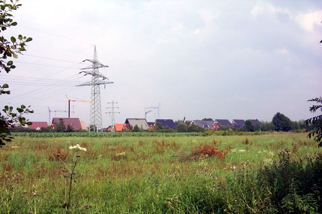 Hinter dem Feld erkennt man eine Wohnsiedlung in der noch an manchen Husern gebaut wird