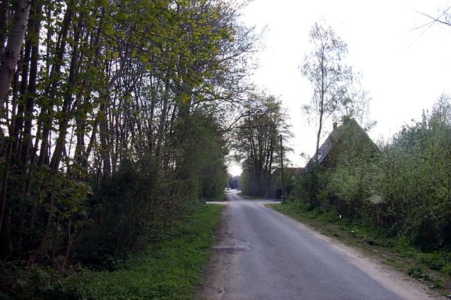 Blick entlang einer Landstrae