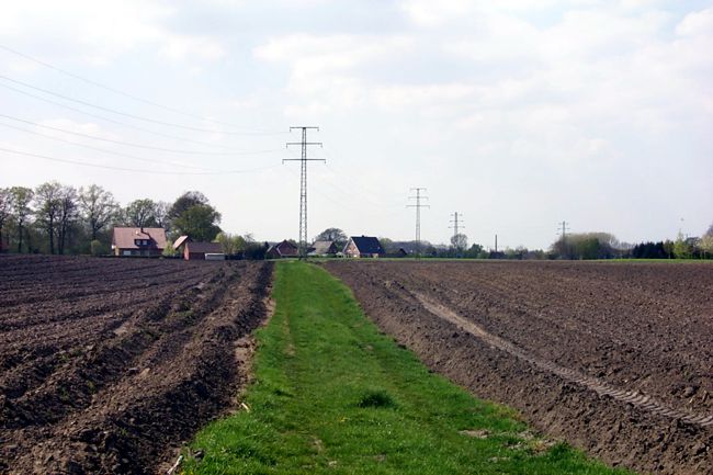 Ein Feldweg trennt die cker