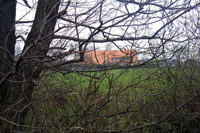 Ein Blick durch Gest auf ein Wohnhaus
