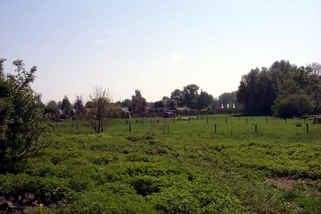 Blick ber ein kleines Feld. Am anderen Ende erkennt man das Pflanzencenter Hintemann